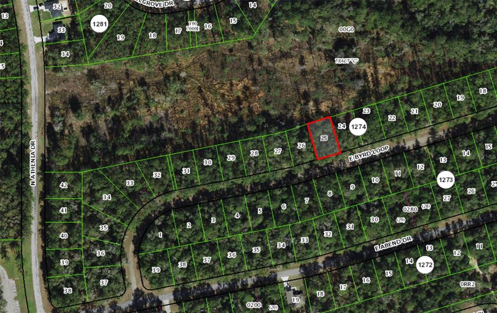 This is a satellite map showing a highlighted residential lot in a wooded subdivision — 719 E BYRD LOOP, DUNNELLON, FL