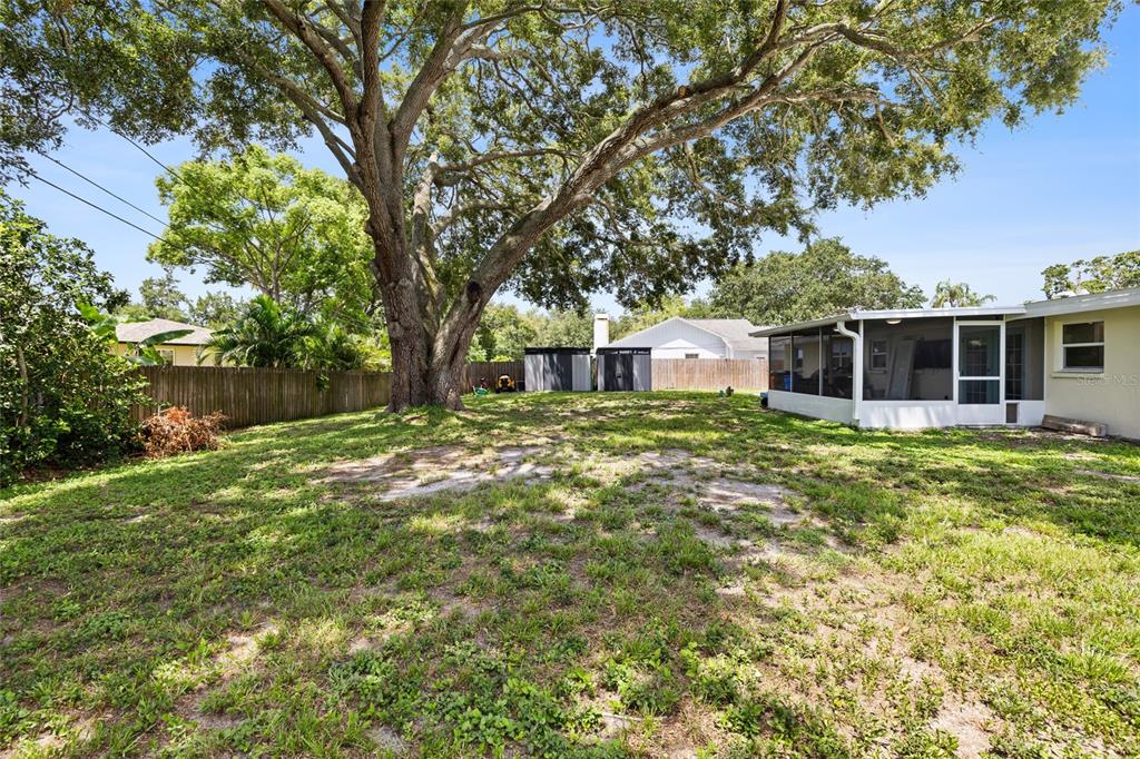 A large backyard features a mature oak tree, a wooden fence, and a screened-in patio — 2287 MANOR BOULEVARD N, CLEARWATER, FL