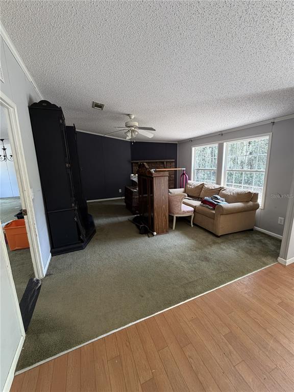 A living room features green carpeting, a beige sofa, and a dark wood cabinet — 41527 PARADISE ROAD, DELAND, FL