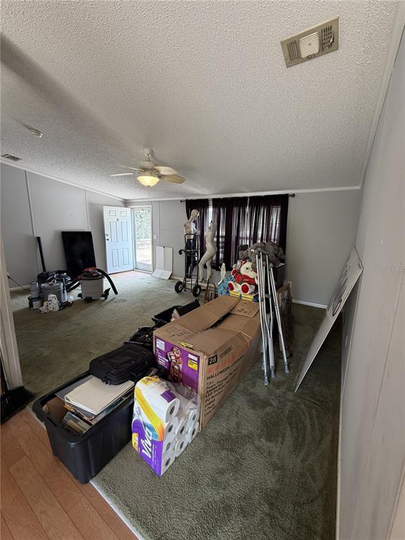 A living room with green carpet, a ceiling fan, and various boxes and items — 41527 PARADISE ROAD, DELAND, FL