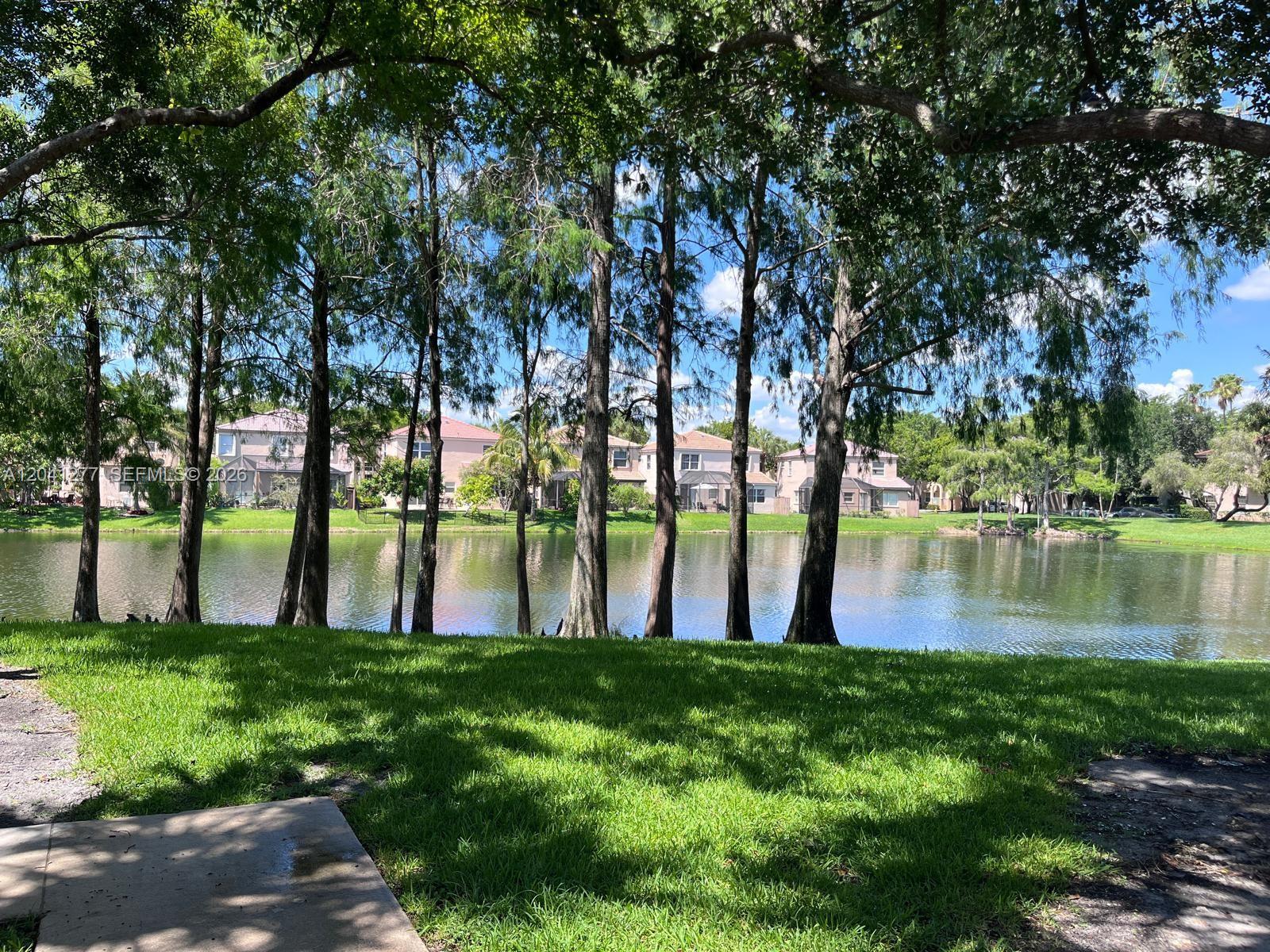 A view of a lake framed by tall trees with houses in the background — PLANTATION, FL