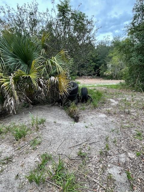 A stack of tires sits on a sandy lot near a palm tree and woods — 2850 CLEBURNE ROAD, ORLANDO, FL