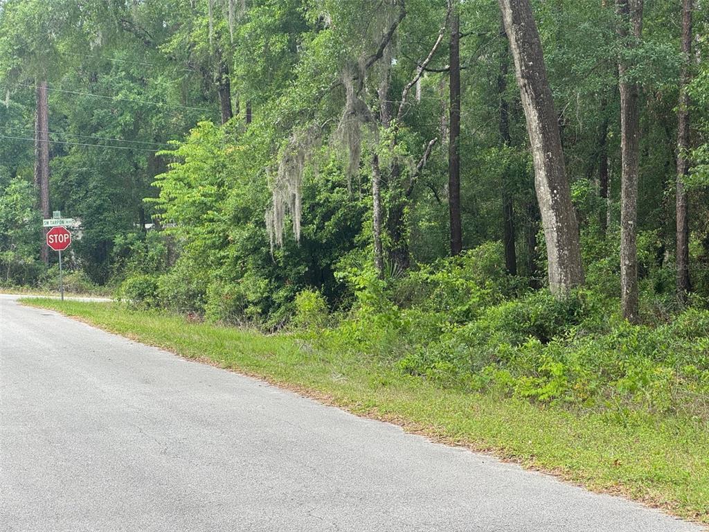 A paved road runs alongside a wooded lot with a stop sign and street sign — Lot 14 SW CHANEL HEIGHTS COURT, DUNNELLON, FL