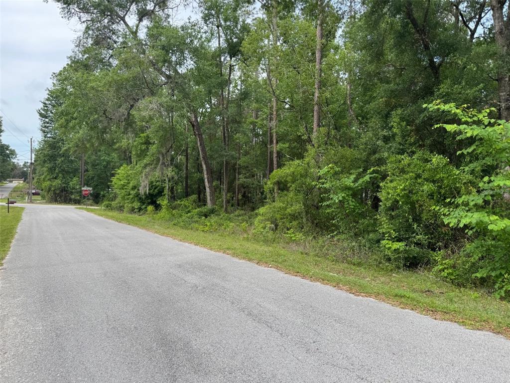 A paved road runs alongside a wooded lot with dense trees and green vegetation — Lot 14 SW CHANEL HEIGHTS COURT, DUNNELLON, FL