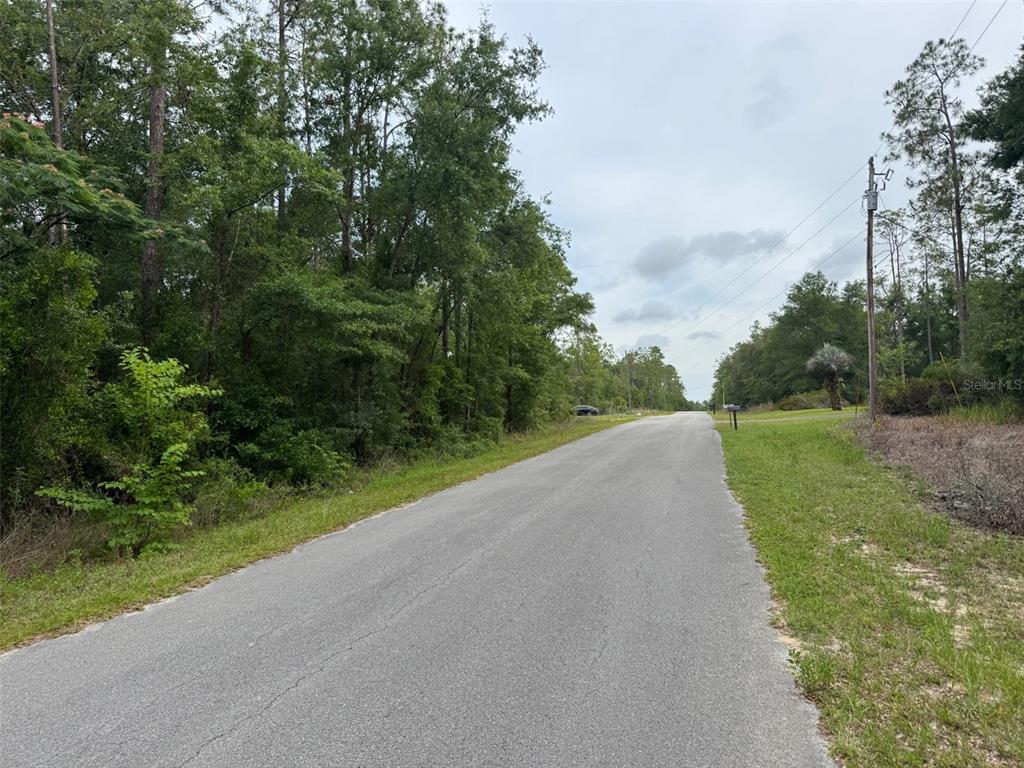 A paved road stretches between a dense forest on the left and a grassy shoulder — Lot 14 SW CHANEL HEIGHTS COURT, DUNNELLON, FL