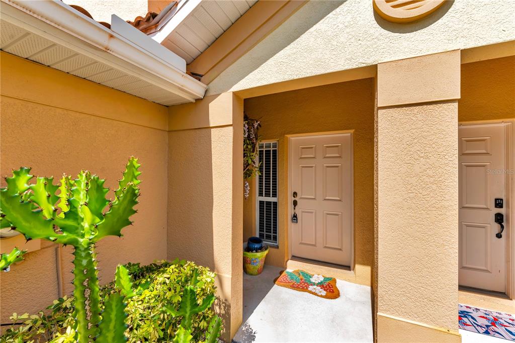 An exterior view of a home entrance with a cactus, two doors, and a doormat — 1421 RIDGE TERRACE, TARPON SPRINGS, FL