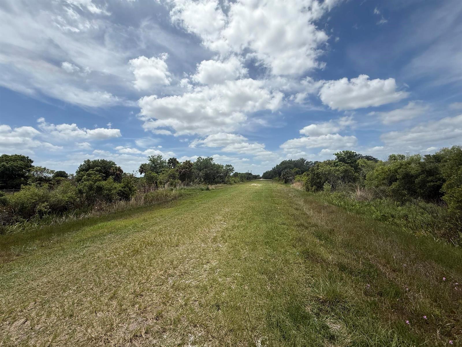 A grassy path leads through a rural landscape with trees under a blue, cloudy sky — 15837 NW 282nd Street, Okeechobee FL 34972, OKEECHOBEE, FL