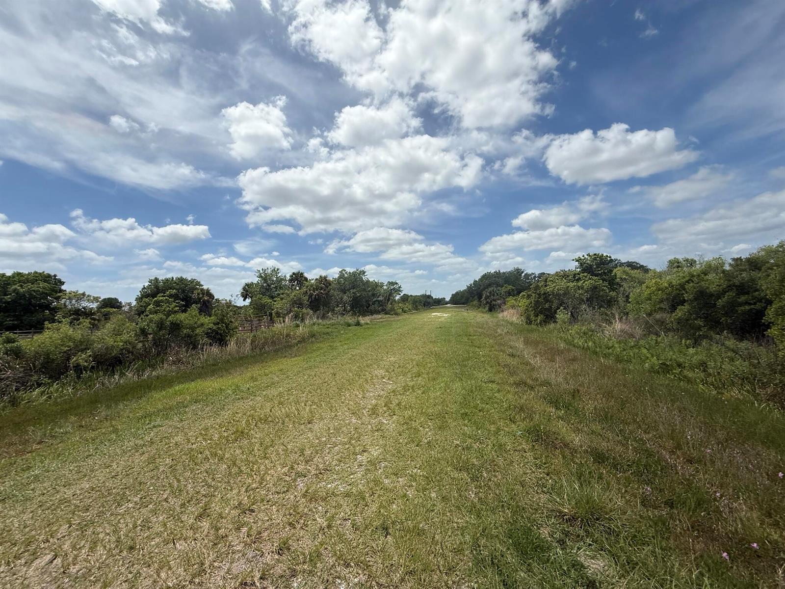 A grassy path leads through a wooded area under a bright, cloudy blue sky — 15837 NW 282nd Street, Okeechobee FL 34972, OKEECHOBEE, FL