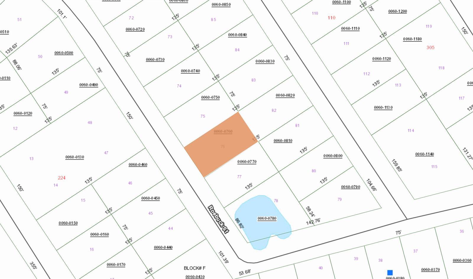 This is a property tax map showing parcel boundaries, street names, and lot numbers — 126 Roebuck Street, FL 32139, FL