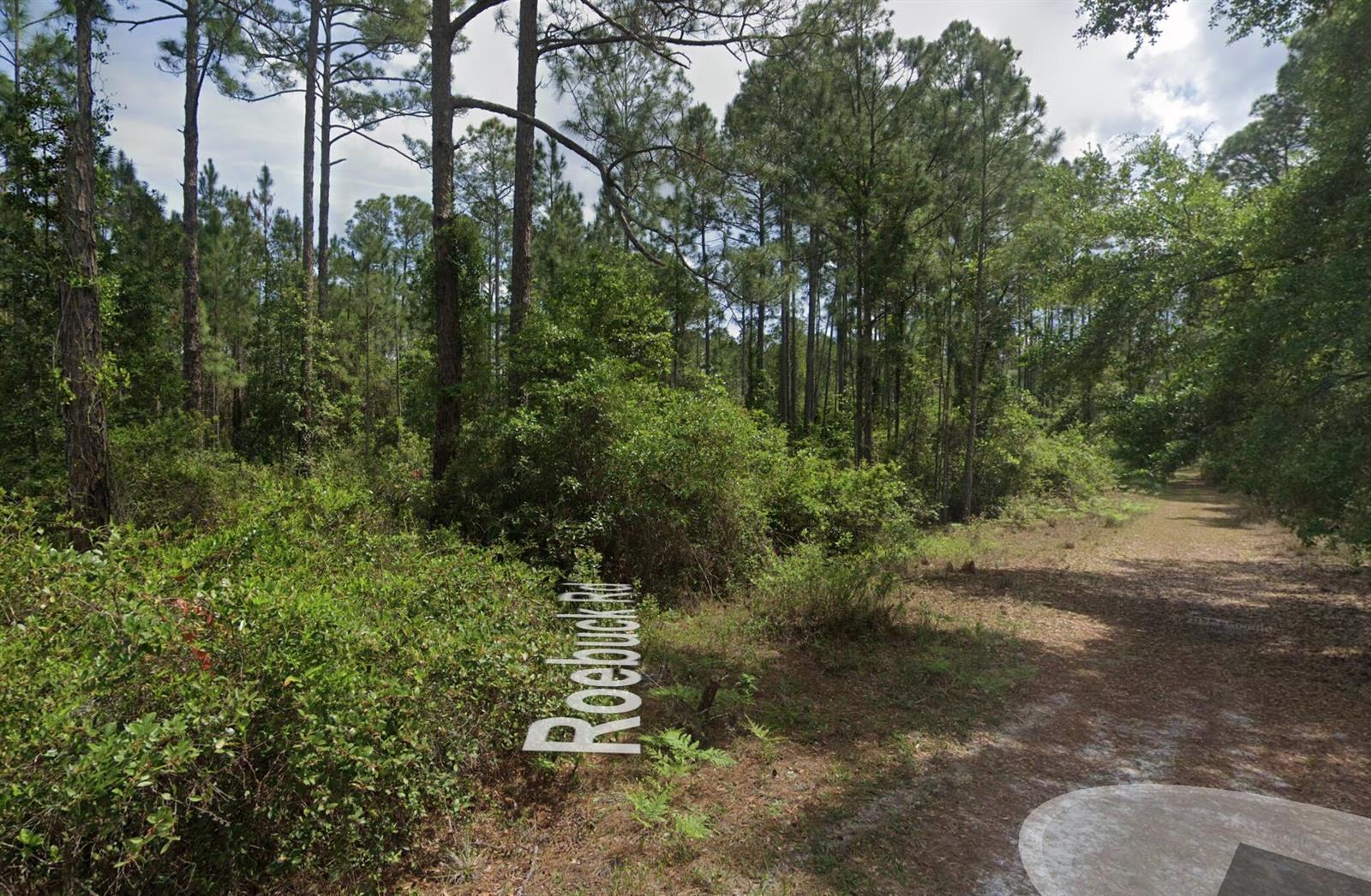 A dirt path leads into a dense, wooded area with tall pine trees and undergrowth — 126 Roebuck Street, FL 32139, FL