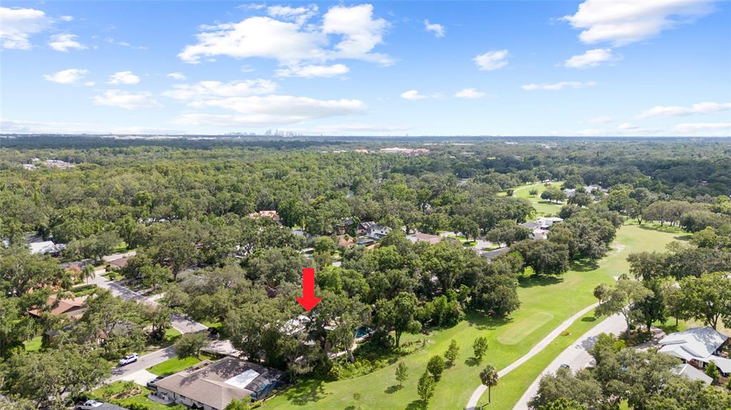 An aerial view shows a residential house with a pool surrounded by trees and greenery — 410 MONTROSE AVENUE, TEMPLE TERRACE, FL