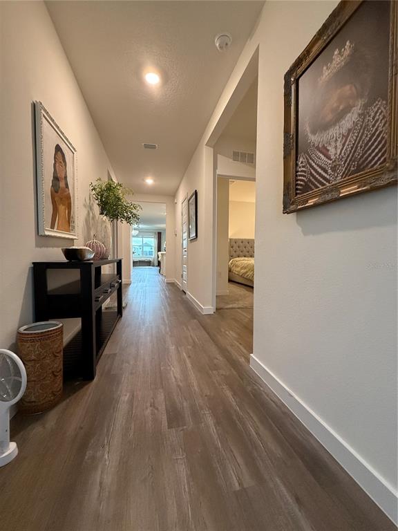 A long hallway with wood-look flooring, a black console table, and framed artwork on the walls — 31800 OYSTER TRELLIS LANE, WESLEY CHAPEL, FL