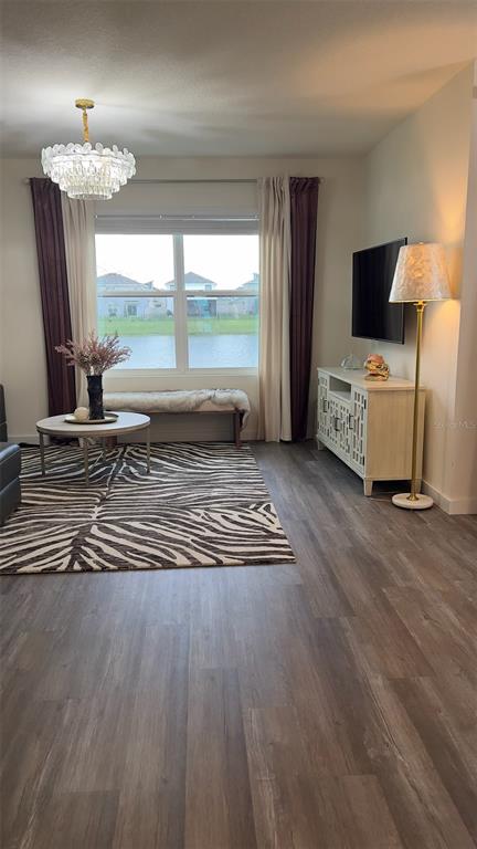 A living room features wood-look flooring, a zebra-print rug, a chandelier, and a large window — 31800 OYSTER TRELLIS LANE, WESLEY CHAPEL, FL