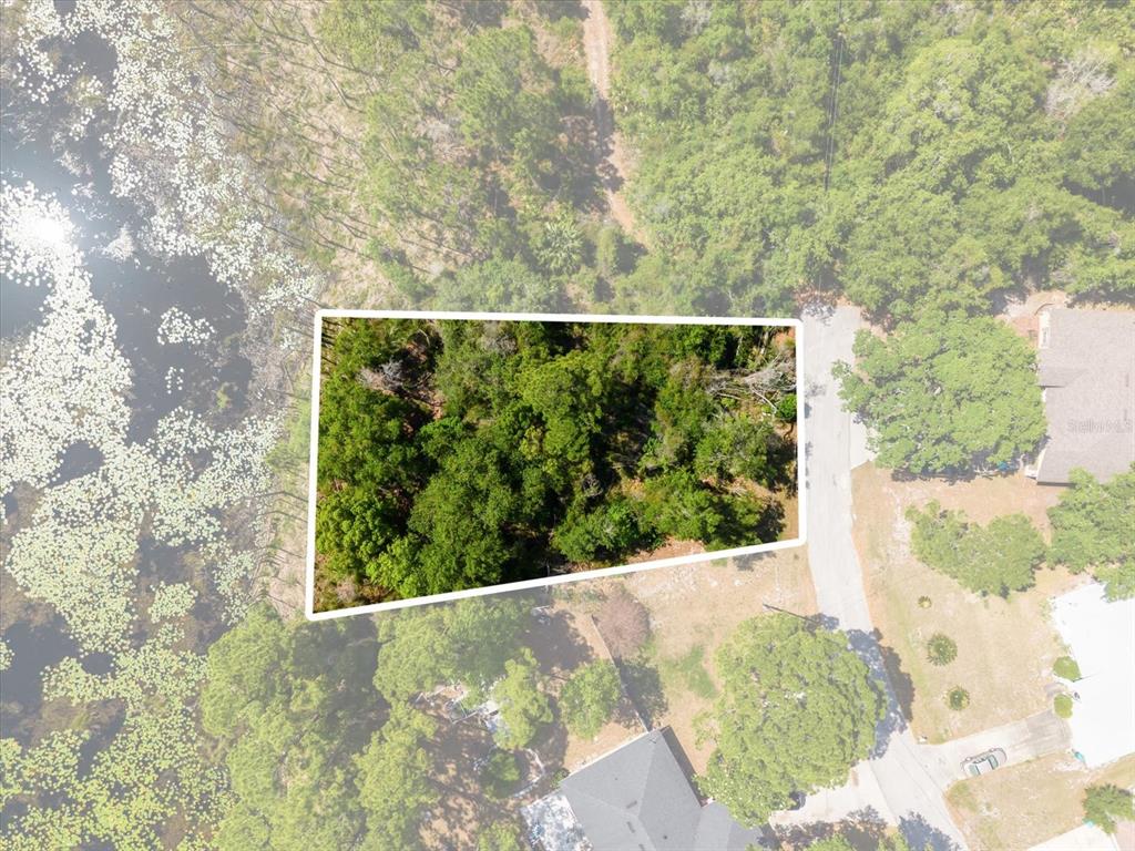 An aerial view shows a wooded, trapezoidal lot situated next to a pond and road — 1351 MELSHIRE AVENUE, DELTONA, FL