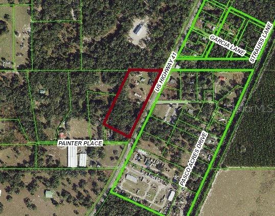 17201 US HIGHWAY 41, SPRING HILL, FL — photo 2 of 13