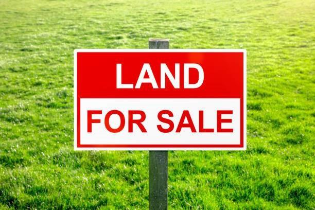 3102 Concord Avenue, Lake Placid FL 33852