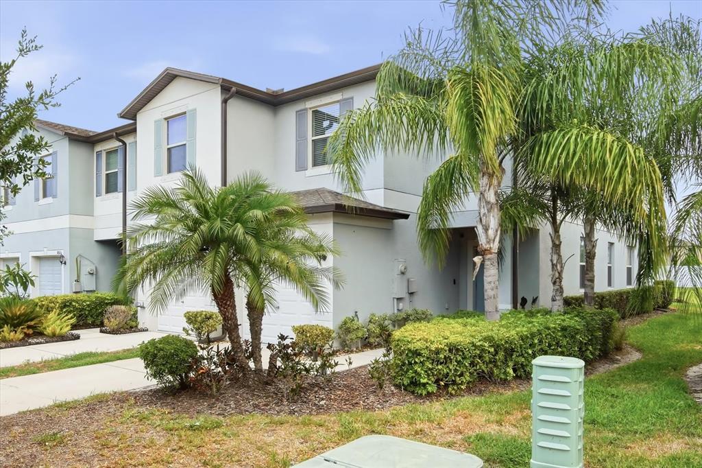 A two-story townhouse with a light-colored stucco exterior, palm trees, and a paved driveway — 7656 GINGER LILY COURT, TAMPA, FL