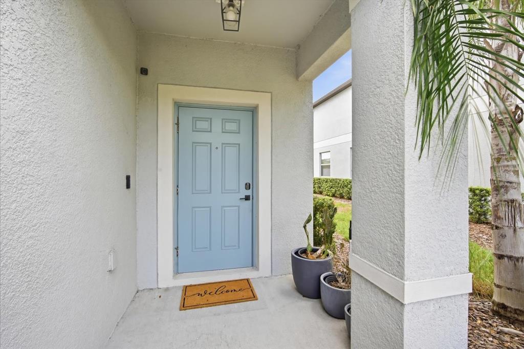 A light blue front door sits under a covered entryway with potted plants and a mat — 7656 GINGER LILY COURT, TAMPA, FL