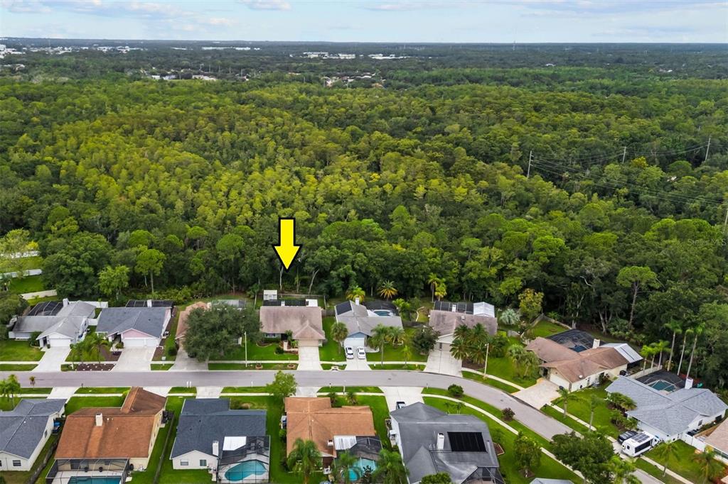 11910 STEPPINGSTONE BLVD BOULEVARD, TAMPA, FL — photo 3 of 30