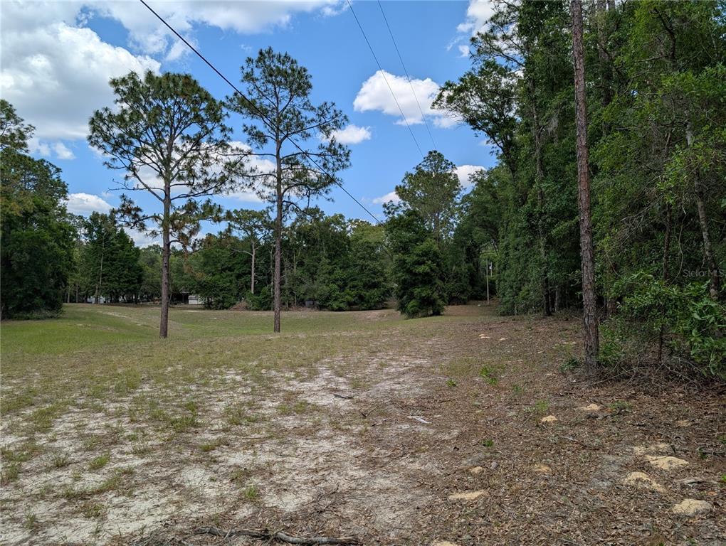 A grassy, partially wooded vacant lot under a blue sky with scattered clouds — TBD SW 93RD LANE, DUNNELLON, FL