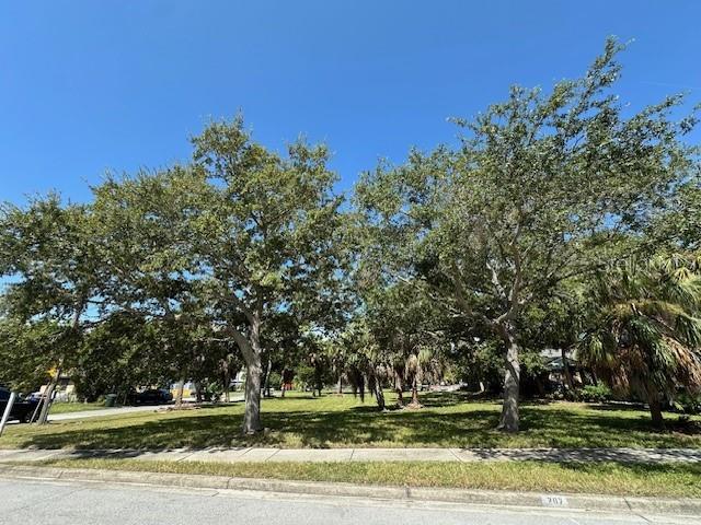 A grassy, vacant lot features several large, mature trees under a clear blue sky — 380 HANCOCK STREET, DUNEDIN, FL