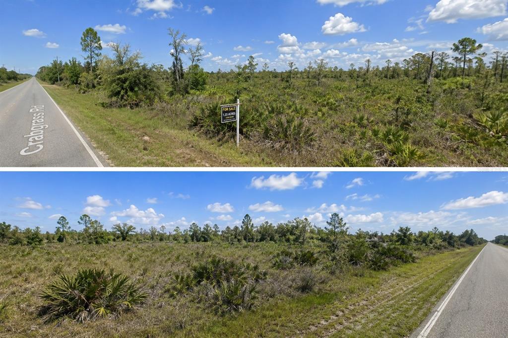 A for-sale sign stands on a vacant, brush-covered lot next to a paved road — CRABGRASS ROAD, ST CLOUD, FL