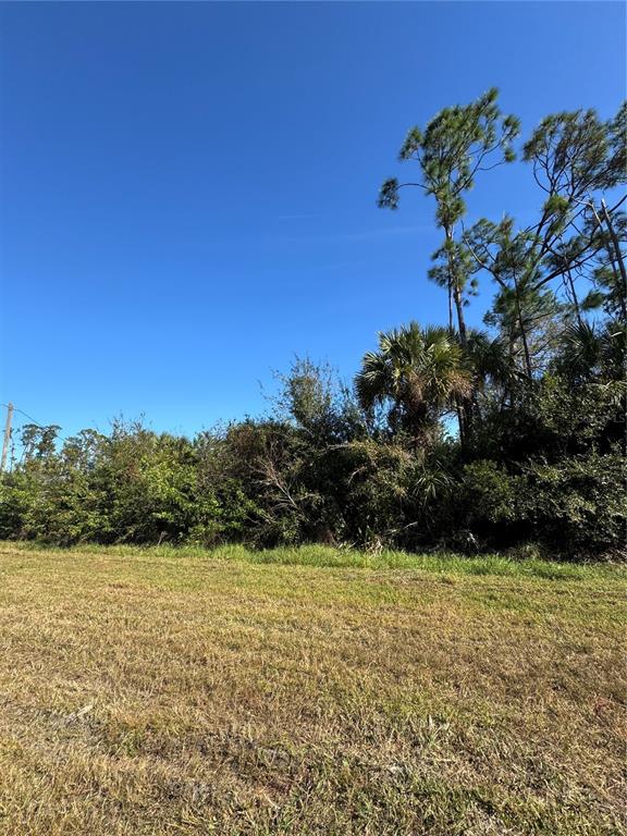 A grassy lot features a dense line of trees and shrubs under a clear sky — 0 N SALFORD BOULEVARD, NORTH PORT, FL