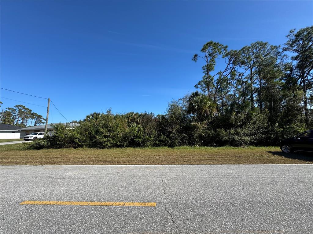 A vacant, overgrown residential lot sits between a paved road and a line of trees — 0 N SALFORD BOULEVARD, NORTH PORT, FL