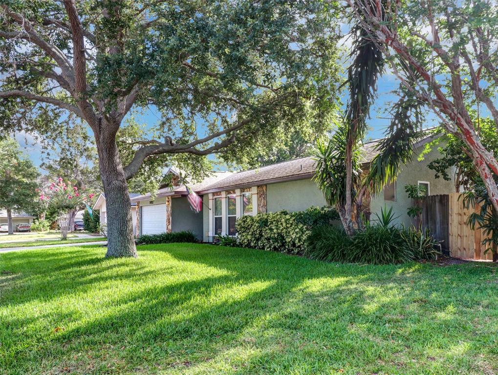 A single-story house with a green stucco exterior, a garage, and large trees in front — 2021 TODD ROAD, CLEARWATER, FL