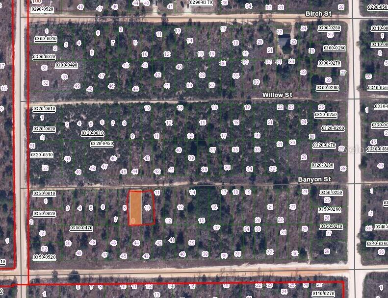 This is a satellite map view showing a highlighted rectangular parcel of land among wooded lots — 00 BANVON STREET, INTERLACHEN, FL
