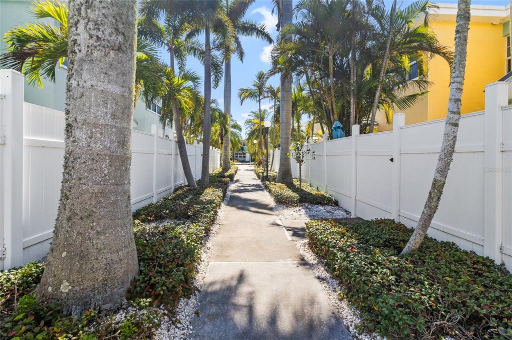 A concrete walkway leads between two white vinyl fences lined with palm trees and shrubs — 19417 GULF BOULEVARD UNIT C109, INDIAN ROCKS BEACH, FL