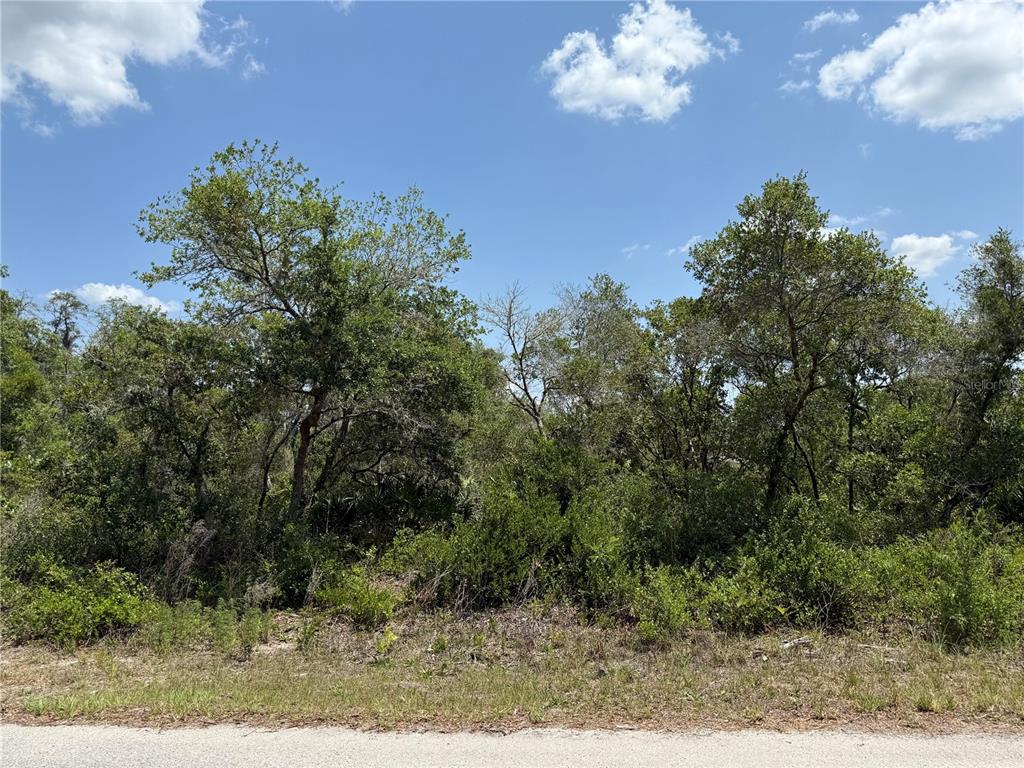 TBD FISHER LOOP UNIT 36