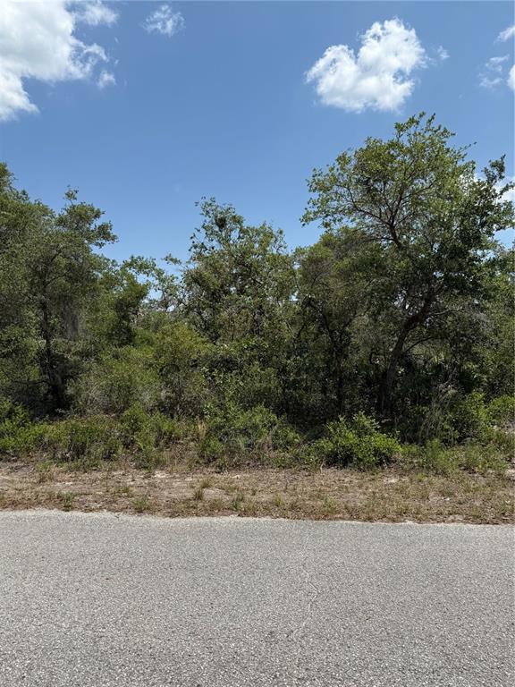 TBD FISHER LOOP UNIT 36, OCKLAWAHA, FL — photo 2 of 4