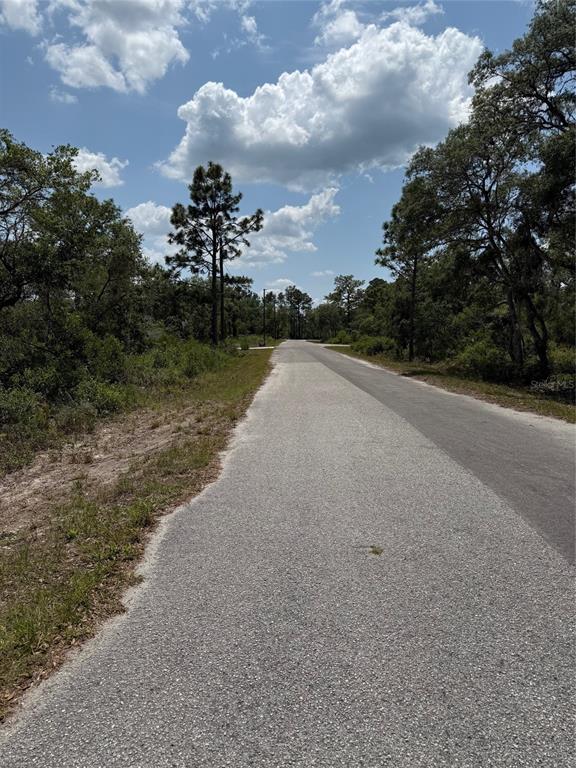 TBD FISHER LOOP UNIT 36, OCKLAWAHA, FL — photo 3 of 4