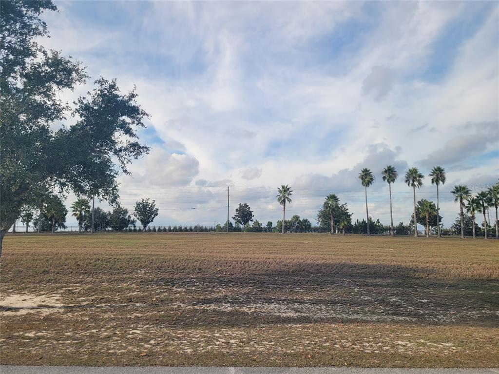 A wide, flat, grassy lot features scattered palm trees and a large oak tree — 7425 JASMINE STREET, GROVELAND, FL
