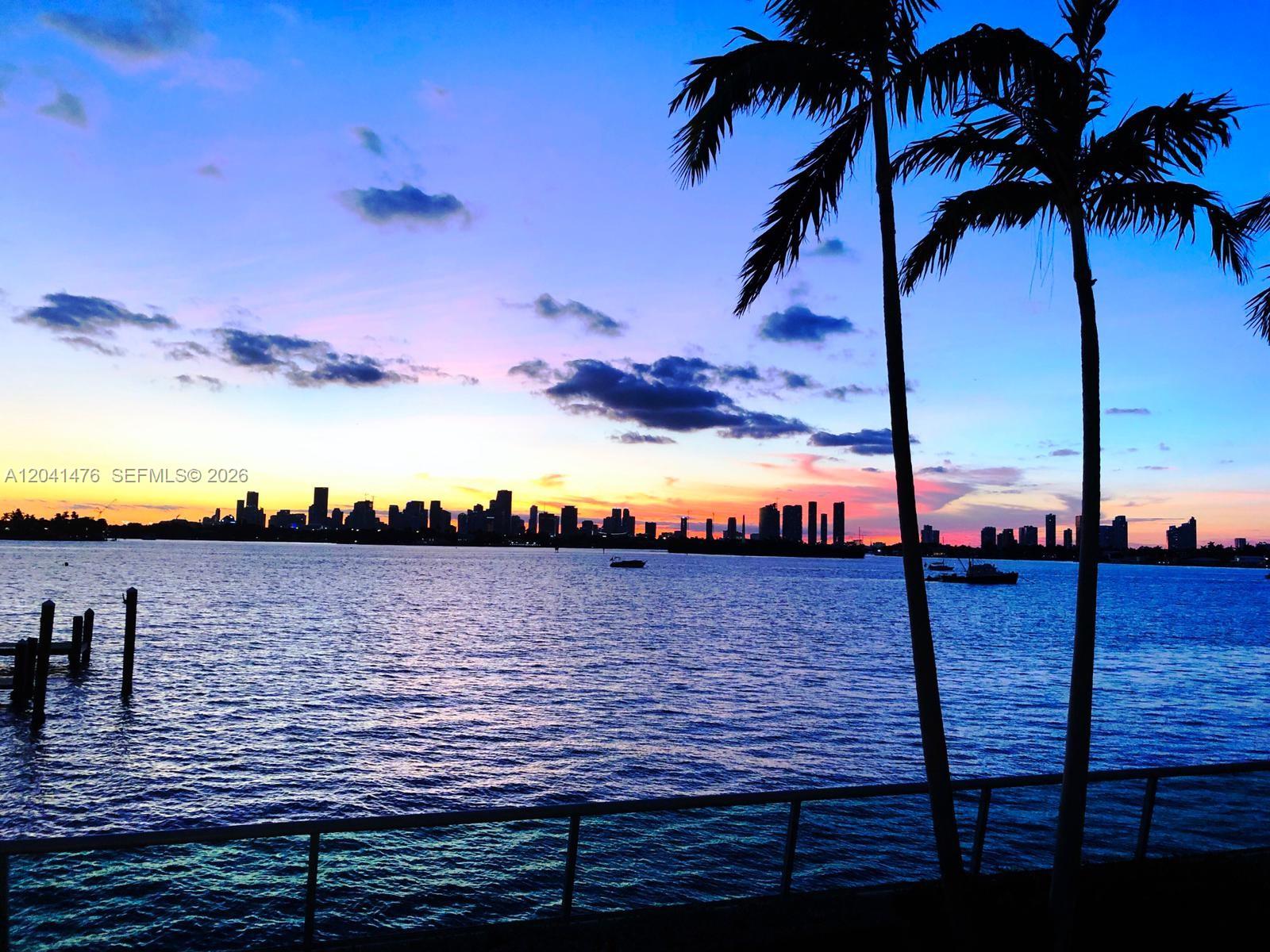 A view of a city skyline across a body of water with palm trees foreground — MIAMI BEACH, FL