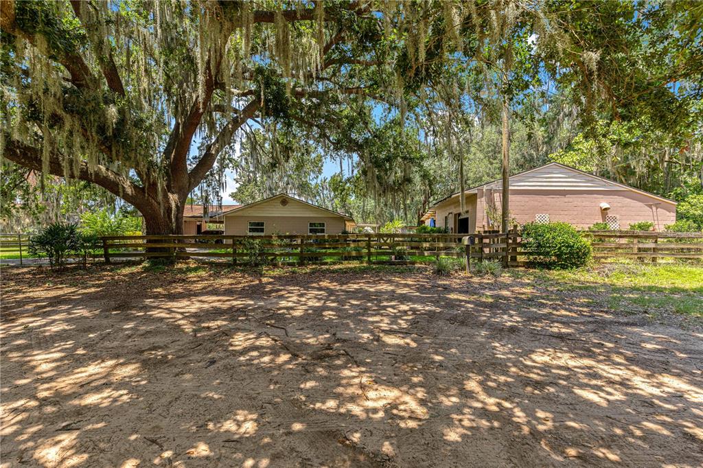 A dirt yard with a large oak tree sits in front of two small houses — 2645 SW 80TH STREET, OCALA, FL
