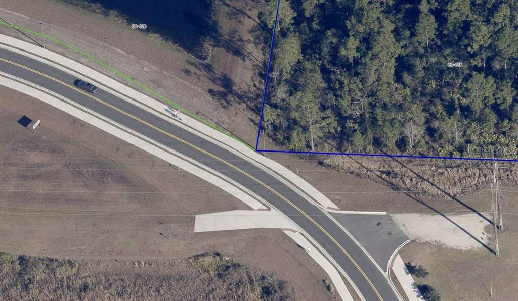 An aerial view shows a paved road curving past a wooded lot with property boundary lines — SR-535, ORLANDO, FL