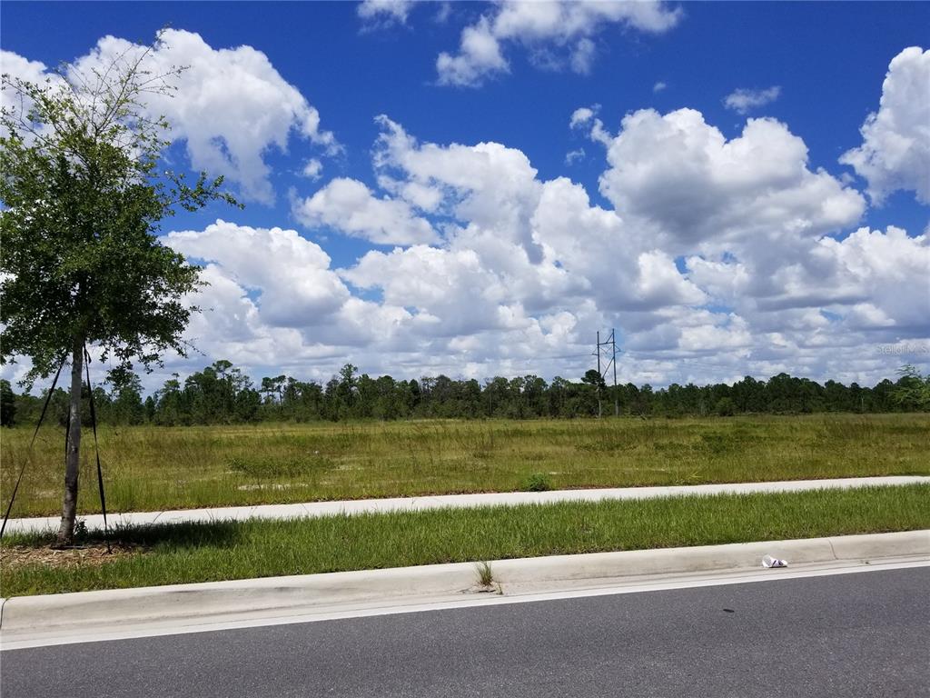 A vacant, grassy lot sits behind a paved road and sidewalk under a cloudy sky — SR-535, ORLANDO, FL