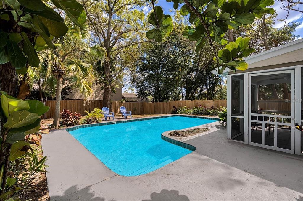 A backyard swimming pool with a screened-in porch and wooden fence surrounded by trees — 5607 SPRING RUN AVENUE, ORLANDO, FL