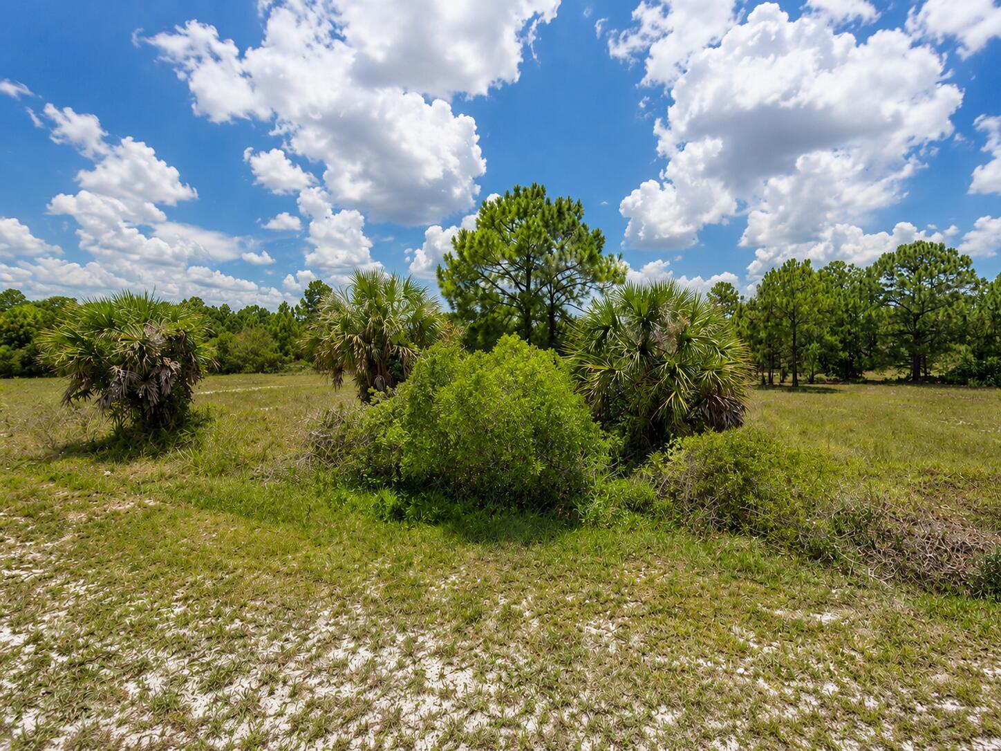 170 S Coral Street, Clewiston FL 33440