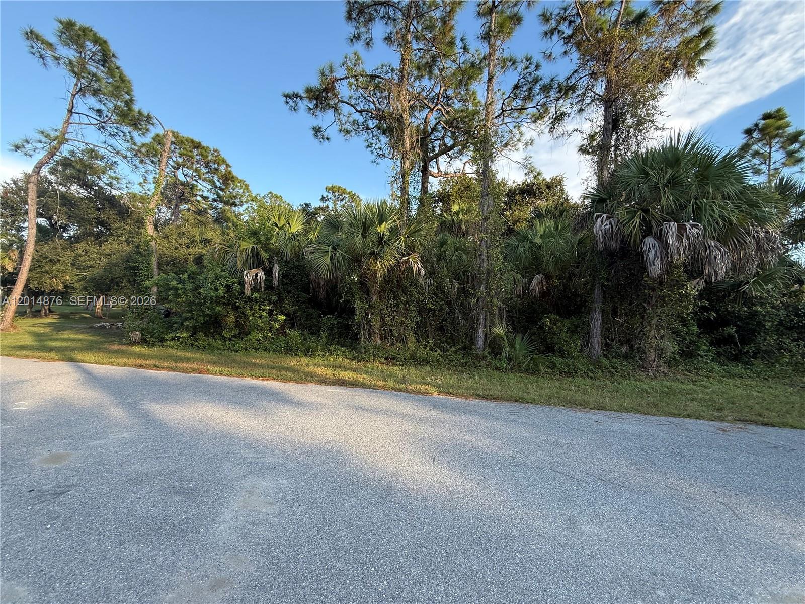 A paved road runs in front of a wooded lot with pine trees and palms — 4601 Fergus, North Port FL 34288, NORTH PORT, FL