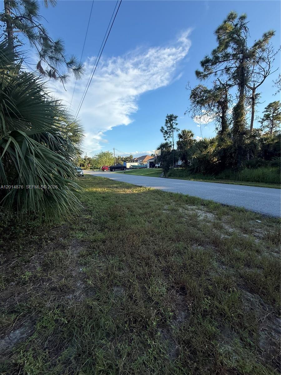 A paved road runs through a grassy, wooded residential area under a blue sky — 4601 Fergus, North Port FL 34288, NORTH PORT, FL