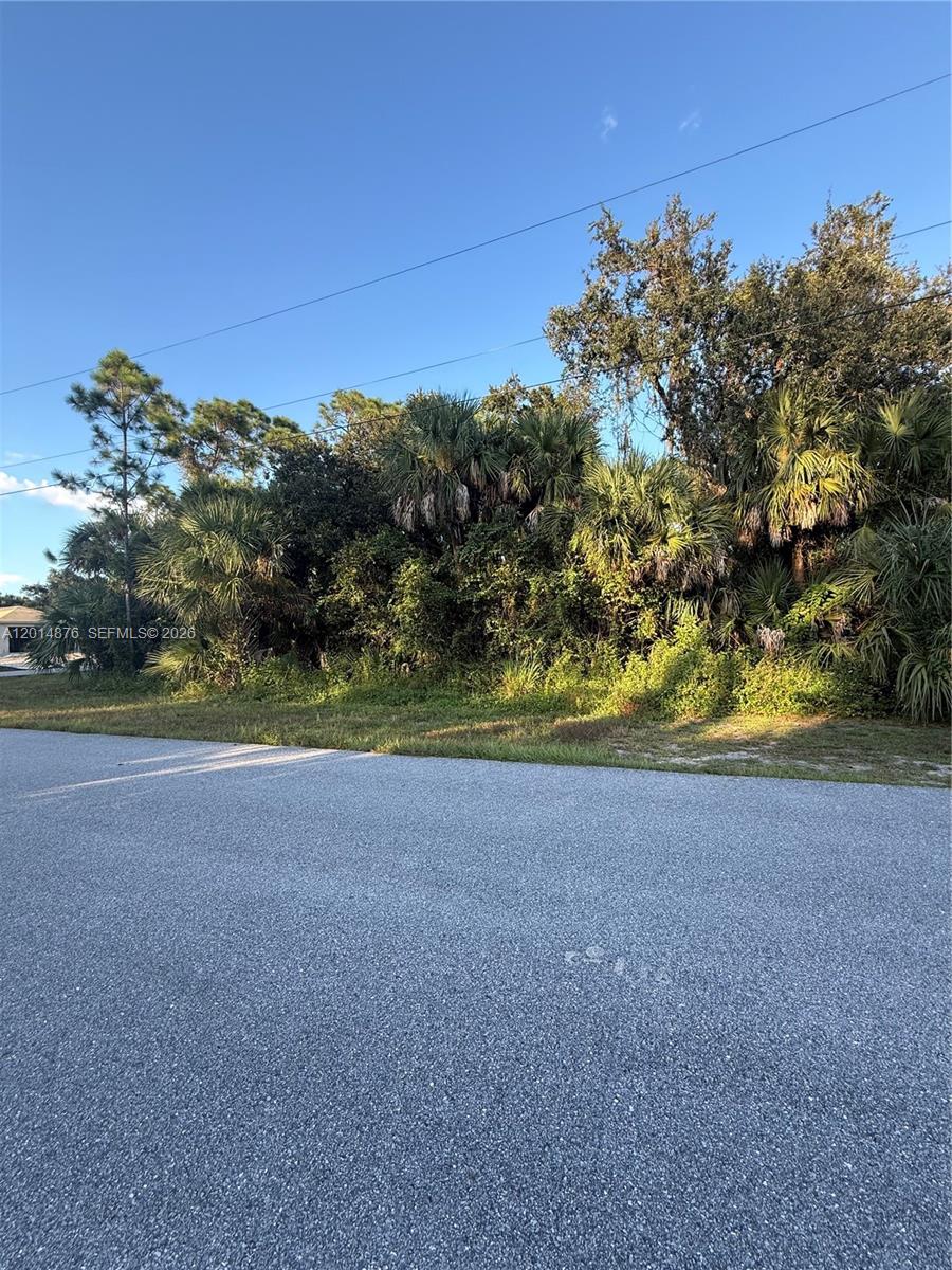 A paved road runs in front of a densely wooded, undeveloped residential lot — 4601 Fergus, North Port FL 34288, NORTH PORT, FL