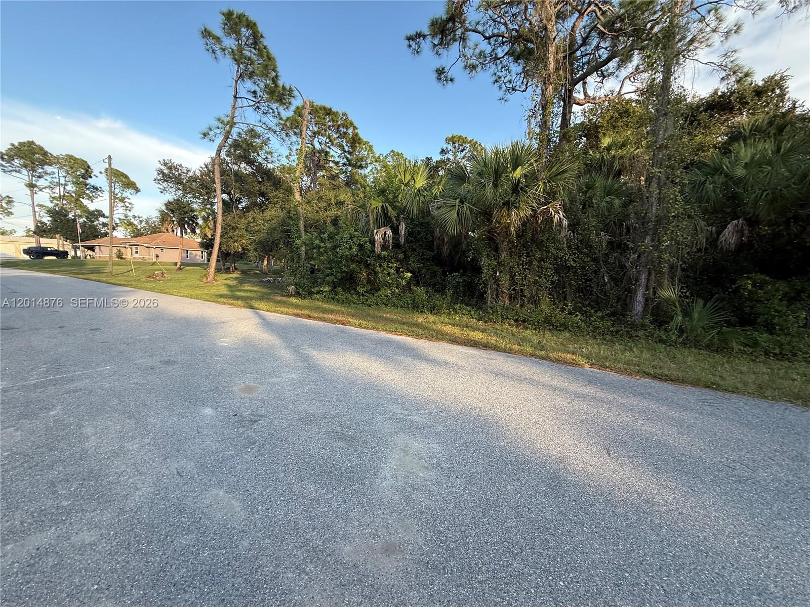 A paved road runs alongside a grassy lot with dense trees and vegetation — 4601 Fergus, North Port FL 34288, NORTH PORT, FL
