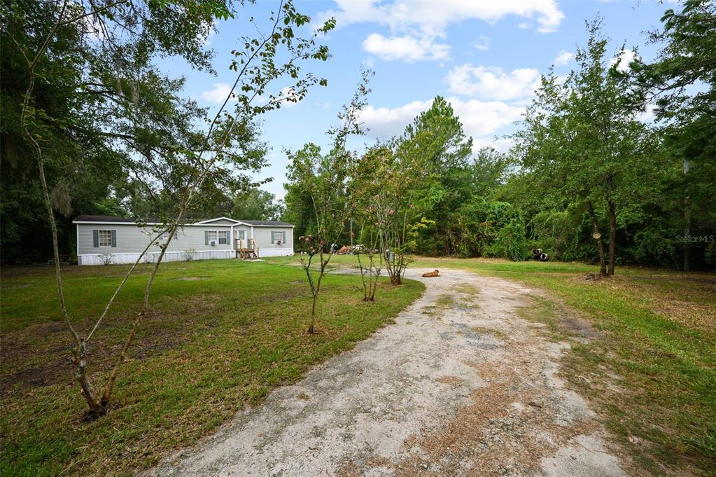 A single-story mobile home sits on a grassy lot with a dirt driveway and trees — 9798 STATE ROAD 100 W, STARKE, FL