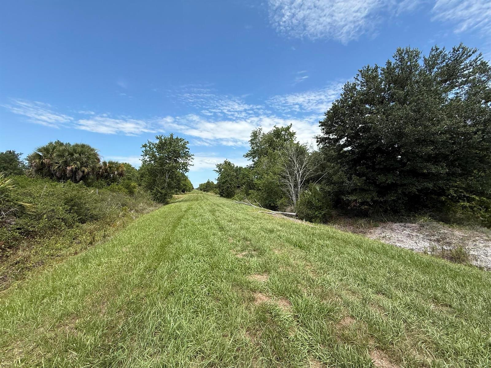 A mowed grass path stretches between lines of trees under a blue sky — 20174 NW 268th Street, Okeechobee FL 34972, OKEECHOBEE, FL