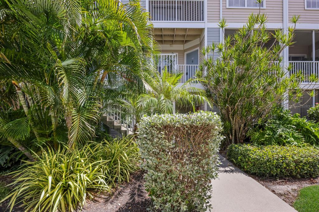 A concrete walkway leads toward the entrance of a multi-story building surrounded by lush landscaping — 850 S TAMIAMI TRAIL UNIT 325, SARASOTA, FL
