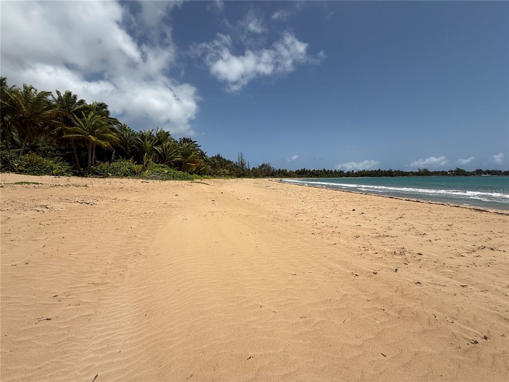 A sandy beach stretches along the coastline next to a line of palm trees — 968 ROAD LAS  PICUAS UNIT AB 302, RIO GRANDE, PR