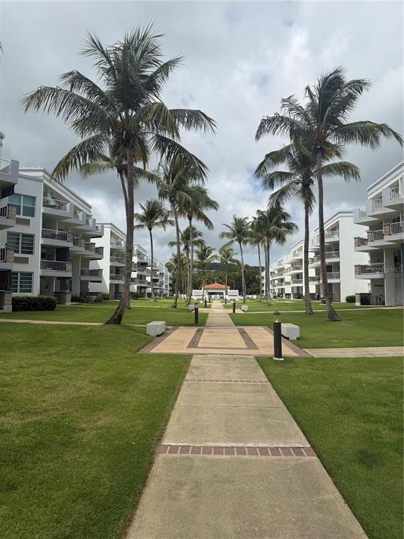 A paved walkway leads between two rows of apartment buildings lined with tall palm trees — 968 ROAD LAS  PICUAS UNIT AB 302, RIO GRANDE, PR
